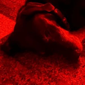 Meet your Posher, Jeff